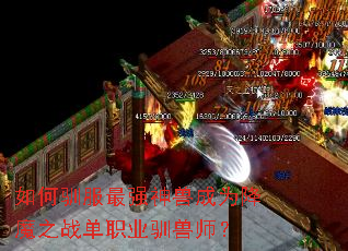���ѱ����ǿ���޳�Ϊ��ħ֮ս��ְҵѱ��ʦ��