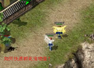 如何快速孵化宠物蛋? 如何快速孵化宠物蛋?