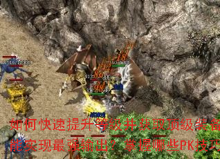 如何快速提升等级并获取顶级装备?怎样搭配合击技能实现最强输出?掌握哪些PK技巧能称霸全服? 如何快速提升等级并获取顶级装备?怎样搭配合击技能实现最强输出?掌握哪些PK技巧能称霸全服?