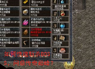 ��ο���նɱBOSS���ʶ������۷壿