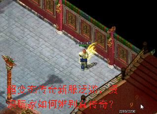 ����̬�����·����ģ����������α���洫�棿