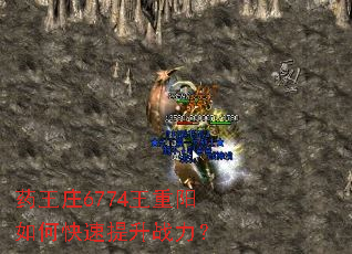 药王庄6774王重阳如何快速提升战力? 药王庄6774王重阳如何快速提升战力?