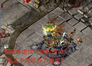 如何快速提升第四岛3233张三丰的战斗力等级? 如何快速提升第四岛3233张三丰的战斗力等级?