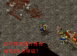 如何快速提升传奇神墓2角色等级? 如何快速提升传奇神墓2角色等级?
