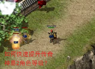 如何快速提升传奇神墓2角色等级? 如何快速提升传奇神墓2角色等级?