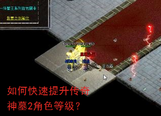 如何快速提升传奇神墓2角色等级? 如何快速提升传奇神墓2角色等级?