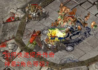 如何快速提升传奇神墓2角色等级? 如何快速提升传奇神墓2角色等级?