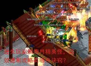 迷失玩家刷赤月精英怪,高效速刷攻略有哪些诀窍? 迷失玩家刷赤月精英怪,高效速刷攻略有哪些诀窍?