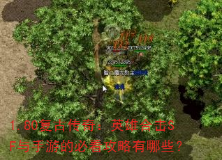 1.80复古传奇:英雄合击SF与手游的必看攻略有哪些? 1.80复古传奇:英雄合击SF与手游的必看攻略有哪些?