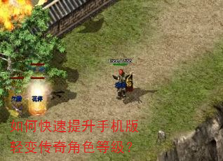 如何快速提升手机版轻变传奇角色等级? 如何快速提升手机版轻变传奇角色等级?
