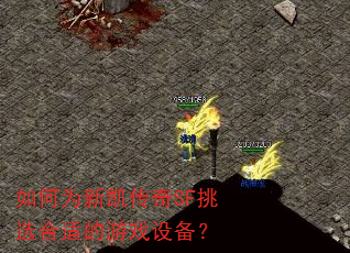 如何为新凯传奇SF挑选合适的游戏设备? 如何为新凯传奇SF挑选合适的游戏设备?