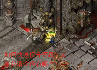 如何快速提升等级?装备获取途径有哪些? 如何快速提升等级?装备获取途径有哪些?