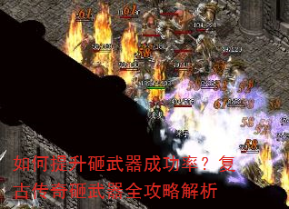 ��������������ɹ��ʣ����Ŵ���������ȫ���Խ���
