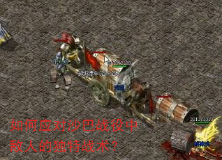如何应对沙巴战役中敌人的独特战术? 如何应对沙巴战役中敌人的独特战术?