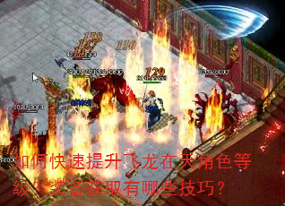 如何快速提升飞龙在天角色等级?装备获取有哪些技巧? 如何快速提升飞龙在天角色等级?装备获取有哪些技巧?