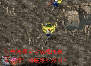 传奇法师宝宝实战PK表现如何?到底好不好用? 传奇法师宝宝实战PK表现如何?到底好不好用?