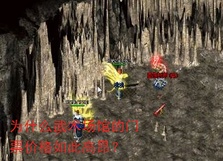 为什么武术场馆的门票价格如此高昂? 为什么武术场馆的门票价格如此高昂?