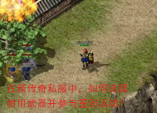 在新传奇私服中,如何选择耐用武器并参与签到活动? 在新传奇私服中,如何选择耐用武器并参与签到活动?