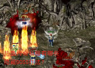 ��Ѫ����˽������Щ����BOSS�򷨣�