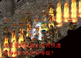 ΢�䴫��˽������ο���������ɫս����ȼ���