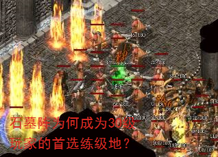 ʯĹ��Ϊ�γ�Ϊ30����ҵ���ѡ�����أ�