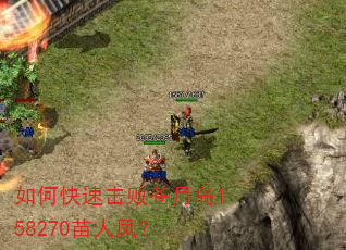 如何快速击败苍月岛158270苗人凤? 如何快速击败苍月岛158270苗人凤?