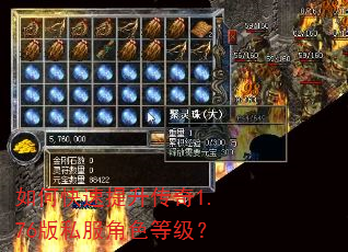 如何快速提升传奇1.76版私服角色等级? 如何快速提升传奇1.76版私服角色等级?