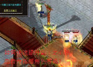 如何快速提升霸王之心热血传奇私服角色等级? 如何快速提升霸王之心热血传奇私服角色等级?