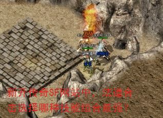 新开传奇SF网站中,法道合击选择哪种技能组合最强? 新开传奇SF网站中,法道合击选择哪种技能组合最强?