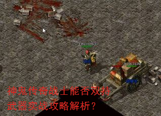 神鬼传奇战士能否双持武器实战攻略解析? 神鬼传奇战士能否双持武器实战攻略解析?