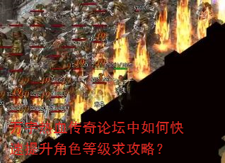 万宇热血传奇论坛中如何快速提升角色等级求攻略? 万宇热血传奇论坛中如何快速提升角色等级求攻略?