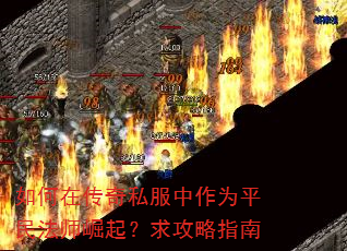 ����ڴ���˽������Ϊƽ��ʦ��������ָ��