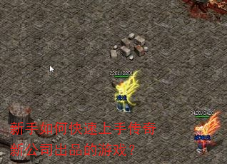 新手如何快速上手传奇新公司出品的游戏? 新手如何快速上手传奇新公司出品的游戏?
