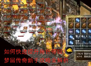 如何快速提升角色等级?梦回传奇新手攻略全解析 如何快速提升角色等级?梦回传奇新手攻略全解析