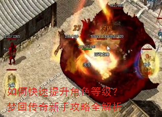 如何快速提升角色等级?梦回传奇新手攻略全解析 如何快速提升角色等级?梦回传奇新手攻略全解析